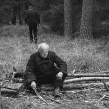EL BOSQUE (Las), D: Piotr Dumała, Polonia, 2009, 76 min.